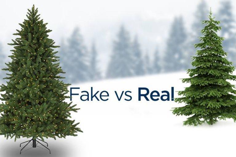 Real vs. Fake Christmas Tree Which One To Choose? Thatsweetgift