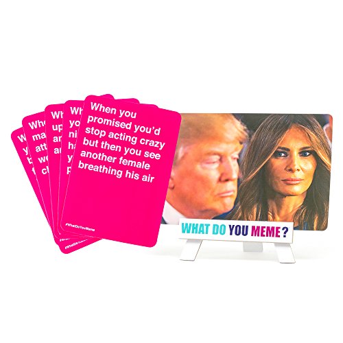 What Do You Meme? Basic Bitch Expansion Pack | Thatsweetgift