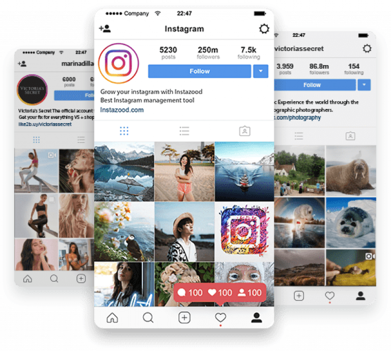 Who Has the Most Followers on Instagram in 2020? ThatSweetGift