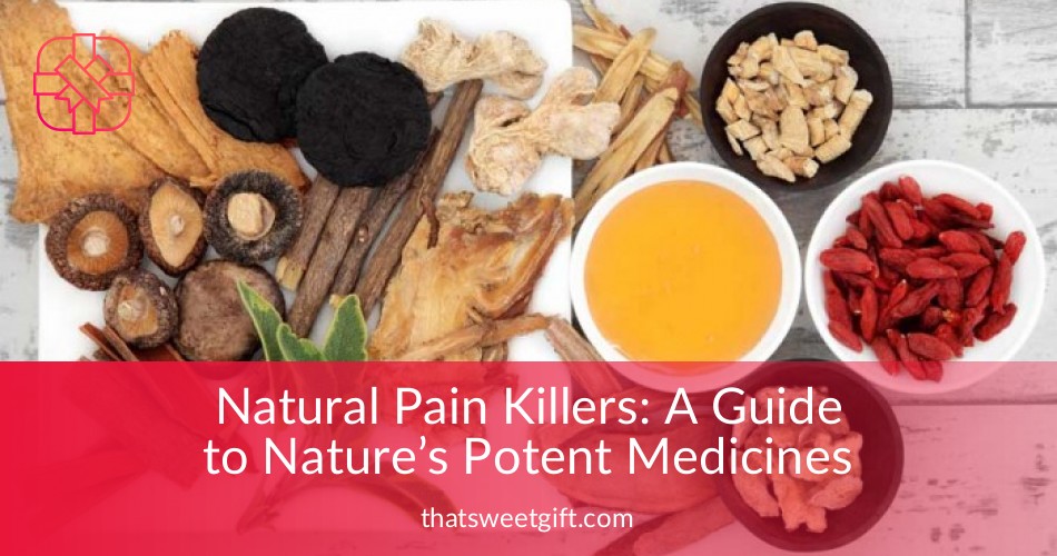 natural-pain-killers-a-guide-to-nature-s-potent-medicines-thatsweetgift