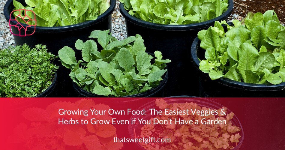 The Easiest Veggies & Herbs to Grow at Home ThatSweetGift