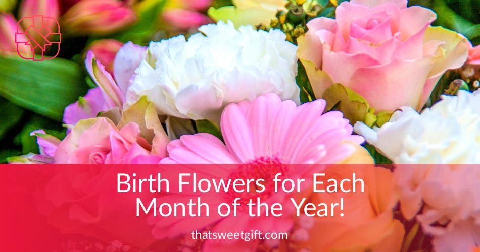 Birth Flowers For Each Month List : Birth month flowers | Personalized ...